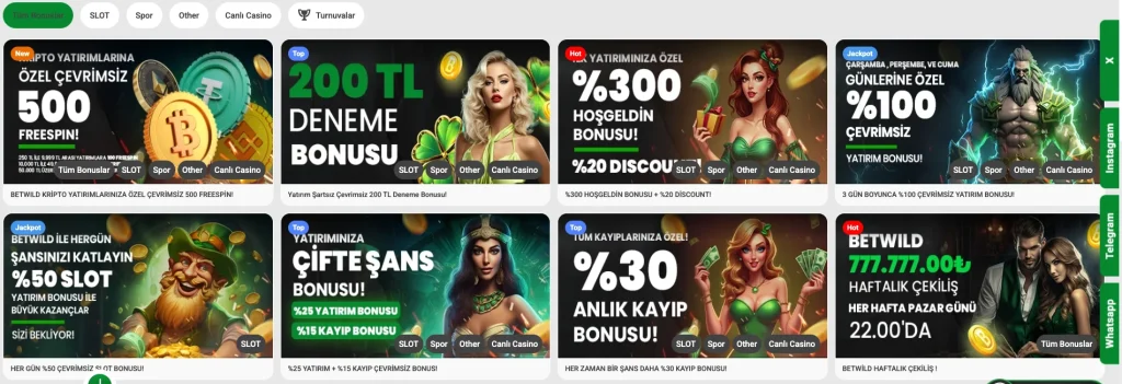 Betwild Bonusları ve Para İşlemleri
